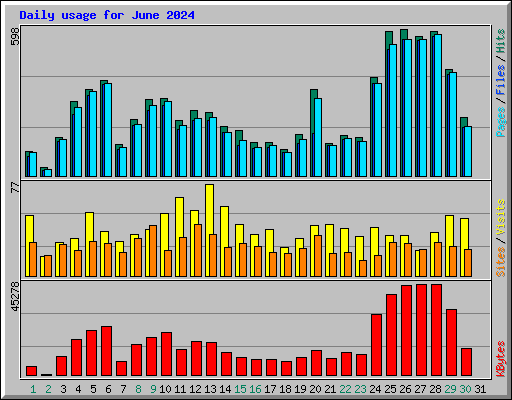 Daily usage for June 2024