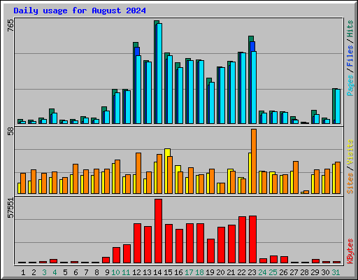 Daily usage for August 2024