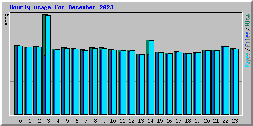 Hourly usage for December 2023