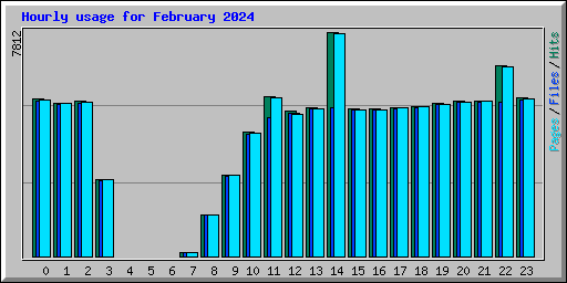 Hourly usage for February 2024