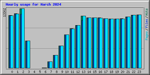 Hourly usage for March 2024