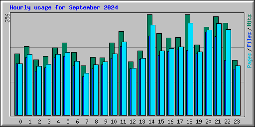 Hourly usage for September 2024