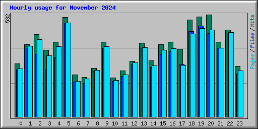 Hourly usage for November 2024